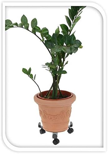 GEEZY Plant Stand on Wheels Extendable Trolley Large Heavy Duty Plant Pot Holder 30 cm