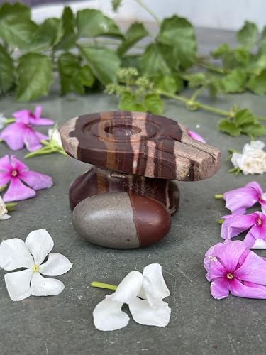 Image of Shivam VASTU AKAL 1.5 inch Original Narmadeshwar Narmada Shivling with 3 inch Narmada Stone Yoni Base Jaladhari (Mahamratunjay Shivling, Multicolor Damru Jaladhari)