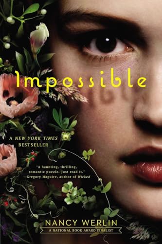 Impossible view 2