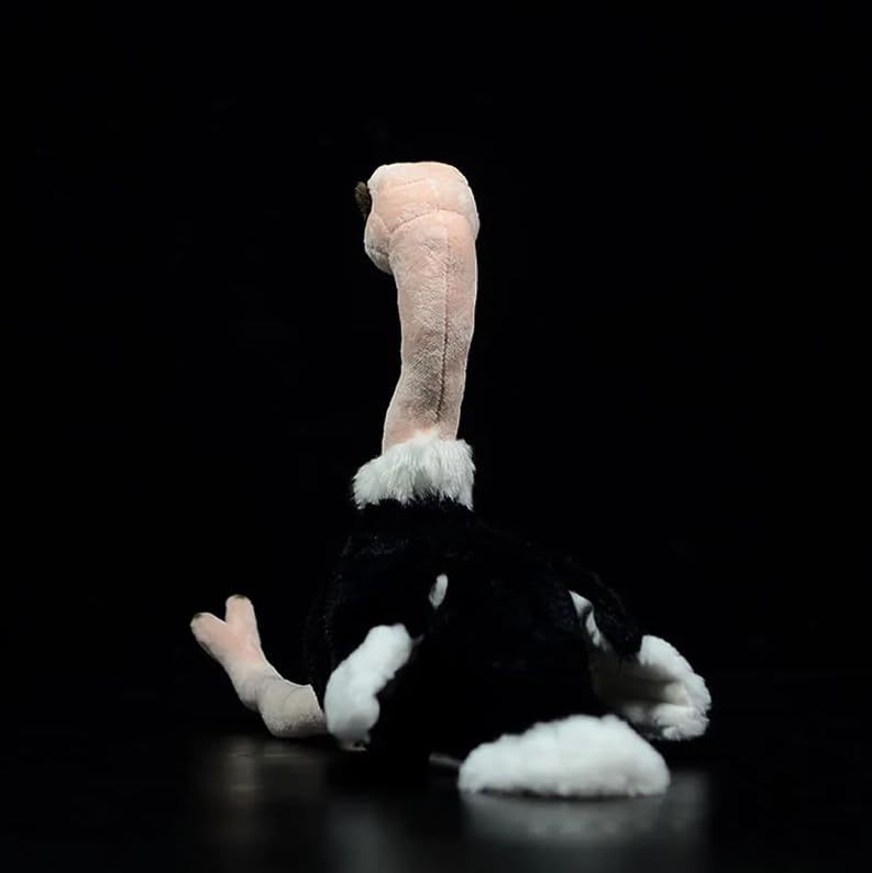 Struzzo realistico Peluche Giocattolo Simulazione Struzzo Africano Uccelli Animali Di Peluche Giocattoli Per I Bambini Regali Di Compleanno 28 cm Struzzo
