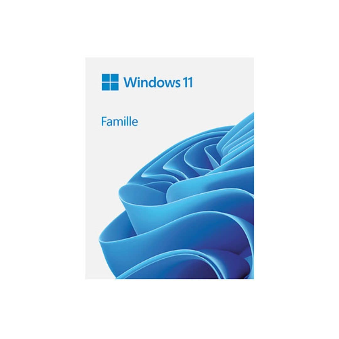 Microsoft Windows 11 Famille 64-bit OEM License USB Flash Drive