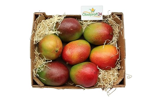 BAMELO® Mango frische exotiche Mangos Box 7 Stück