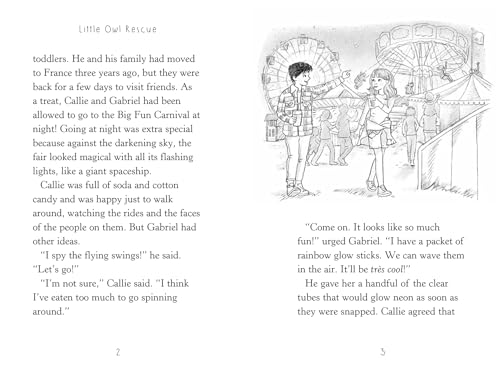 Tiger Tales 9781664340114 Little Owl Rescue thumb #3