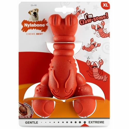Nylabone, Effet à mâcher extrêmement Fort, Nouveau Jouet à mâcher en Forme de Homard, Durable, Jouet à mâcher pour Les Dents, Goût Steak, Extra Grand, pour Chiens de Plus de 23 kg – vue 2