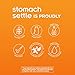 Upspring Stomach Settle Nausea Relief Drops - Fast-Acting Pregnancy Nausea Relief & Morning Sickness Relief with Ginger, Lemon, Spearmint, Honey & B6, Lemon-Ginger-Honey Flavor, 28 Drops