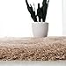 SAFAVIEH Venice Shag Collection Area Rug - 5' x 7', Champagne, Handmade Glam, 3-inch Thick Ideal for High Traffic Areas in Living Room, Bedroom (SG256C)