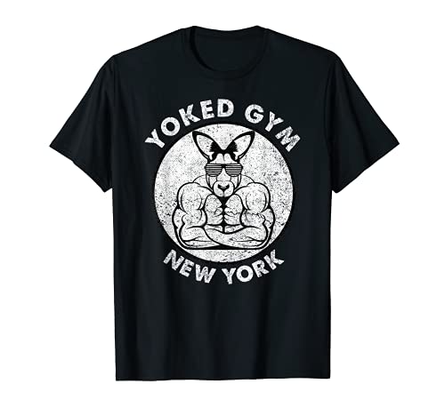 Weight Lift Yoked Gym T-Shirt