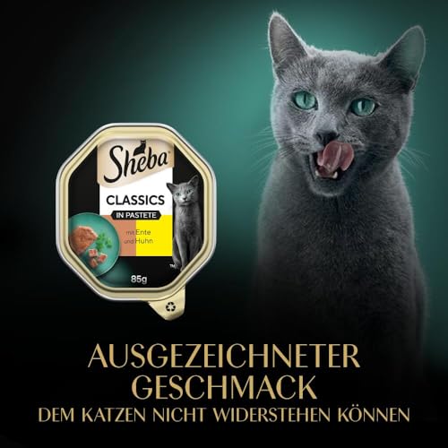 Sheba Classics in Pastete – Katzenfutter als Pasteten mit feinen Stückchen – Ente und Huhn – Getreidefrei – 22 x 85g