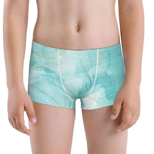 Boys' Cotton Boxer Brief Soft Underwear-Blue Marble