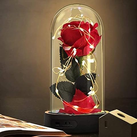 Beauty and The Beast Rose Gifts,Preserved Rose Enchanted Rose Monther’s Day Gifts,Red Silk Rose in Dome with Lights Pine Graining Base,Womens Gifts for Christmas,Valentine's Day,Birthday Cover