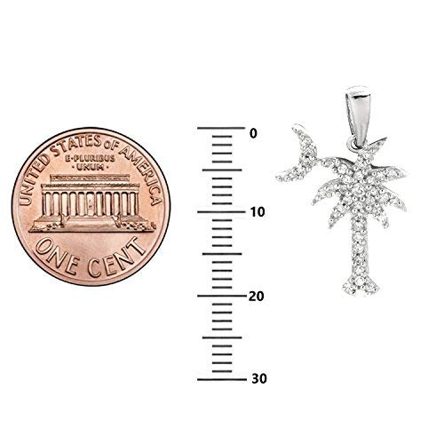 Ritastephens Sterling Silver Shiny Cubic Zirconia Palmetto Moon Necklace SC State Flag Charm, South Carolina Flag Pendant, Palm and Moon Charm Necklace3