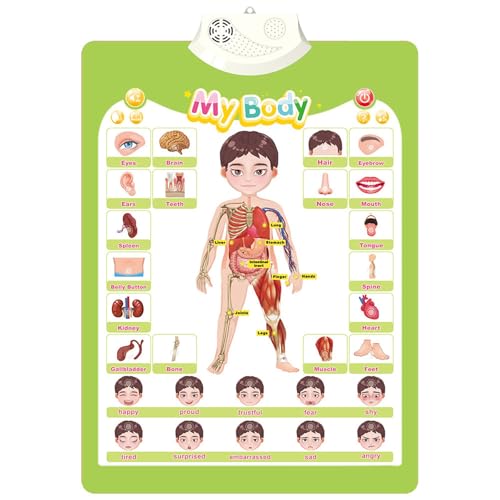 Great for home education, kindergarten classrooms, or early learning centers, this wall chart toy can be easily mounted on wall or used on tables