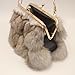 Luxurious Fashion Natural Fox Fur with Hair Handbag for Women and Ladies (White, Small) (White)