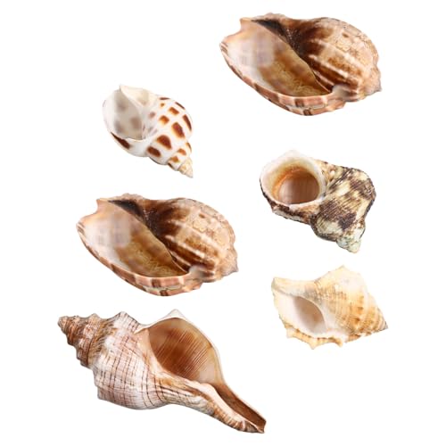 LEDMOMO 6VRC񋏊I? 㝗pRȊC̑ Cme[}̃R[X^p[eB[fR[V }EFfBOZ^[ 