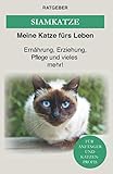Siam Katze: Siamkatze - Ernährung, Erziehung, Pflege und vieles mehr!