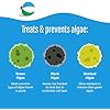 Poolife Algaecide 90 (1 qt) (2)