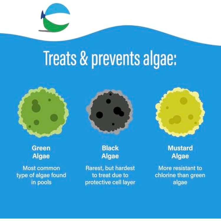 Poolife Algaecide 90 (1 qt) (2)