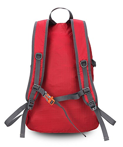 https://m.media-amazon.com/images/I/41c0mDZ1MgL._SL500_.jpg