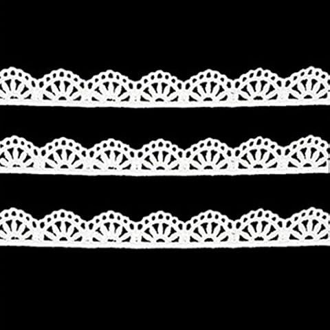 6 Yards Lace Edge Trim Ribbon Embroidered Lace Trim Lace Edge Trim Floral Lace Ribbon Wide 1.7cm (White) Cover