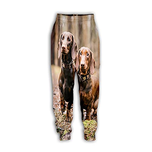 Pantalon teckel imprimé 3D idéal pour vos moments de détente