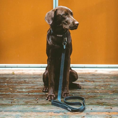 Image of Wilderdog Waterproof Dog Collar - Repels Water & Dirt - Large 17 inch-24 inch - Black