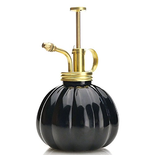 Purism Style Plant Mister- Glass Bottle (Black Color) & Brass Sprayer (Matt Gold) #TOP4