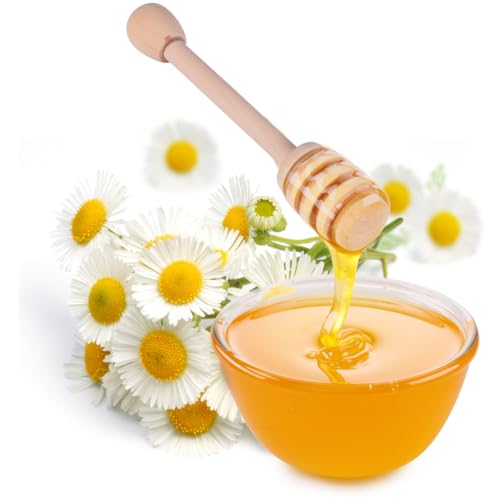 Baluue 8 ؐnj[fBbp[XeBbN Hi Ή R[q[ ~NeB[pha_ Lb`p ֗Ŏg₷ ėp\