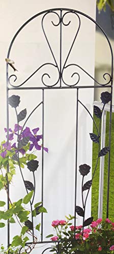 Preisvergleich Produktbild Garden Feelings Rankspalier Eisen, pulverbeschichtet, einbrennlackiert; B×H: ca. 38×118 cm; Verschiedene Modelle (2 Rosen schwarz)