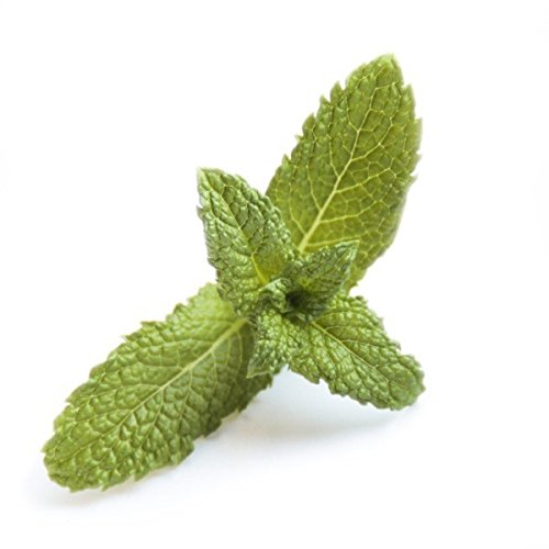 E-Liquide menthe Alfaliquid 30 ml - Sans tabac ni nicotine - Vente interdite au moins de 18 ans - 0 mg