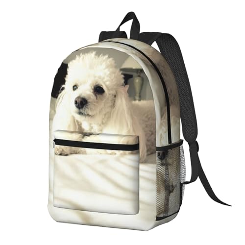 Mochila ligera de caniche EdWal escolar y universitaria 2