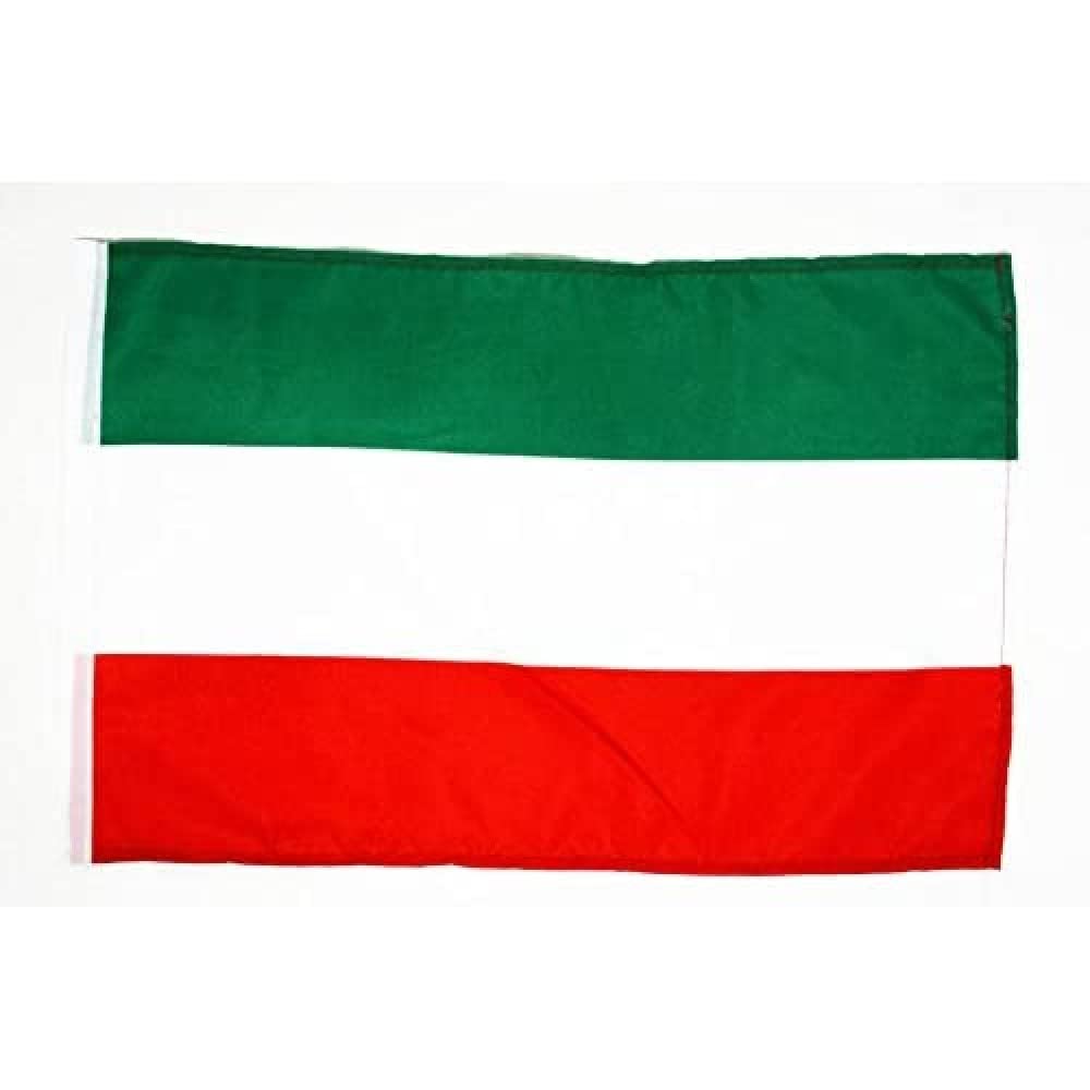 AZ FLAG Drapeau Hongrie en Polyester 100D avec Fourreau, 45cm x 30cm
