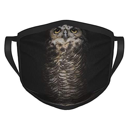 Máscara facial con diseño de búho, cómoda y reutilizable con bordes negros para adultos Cover
