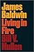 James Baldwin: Living in Fire (Revolutionary Lives)