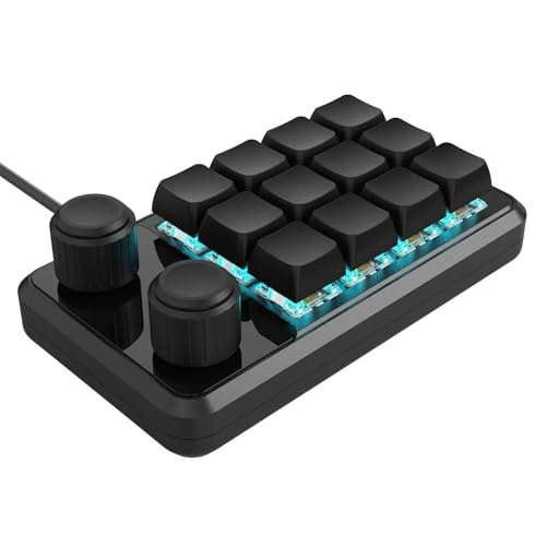 RAFGALDEX Claviers macros de Jeu ergonomiques à 12 Touches avec RVB, raccourcis Clavier et macros de Connexion de Type C avec Boutons