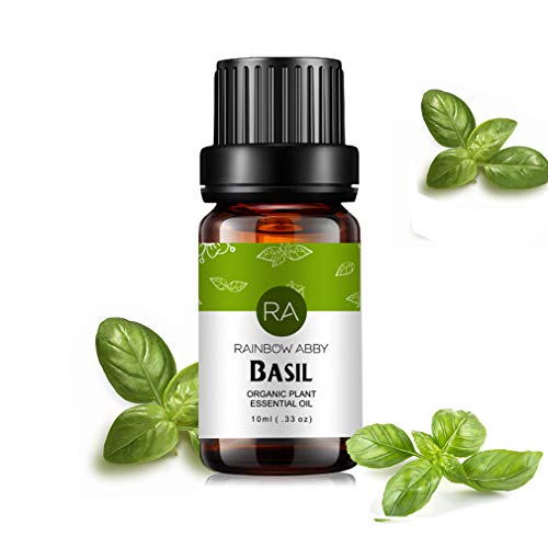 Basil Essential Oil 100% Pure, Aromatherapy Therapeutic Grade Essential Oil for Diffuser, 10ML