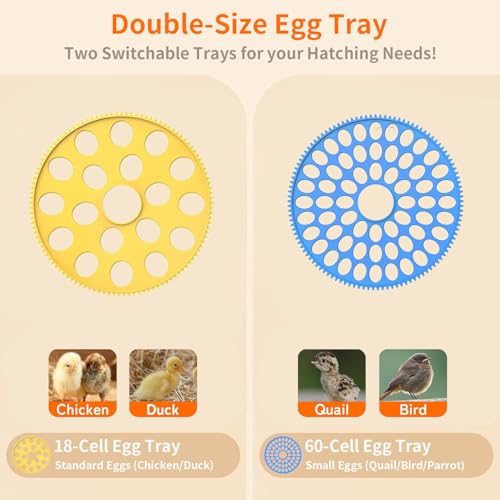 Upgrade Egg Incubator for Hatching 18-60 egg with Automatic Egg Turning and Humidity Control, Full Automatic Incubators for Hatching Eggs, Incubator for Farm Science Classroom Home Chicken Duck Quail - Image 5