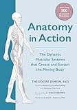 Anatomy in Action: The Dynamic Muscular Systems that Create and Sustain the Moving Body