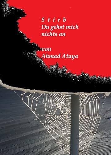 S t i r b: Du gehst mich nichts an - Ein Roman über eine Mordserie (German Edition)