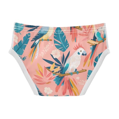 Bird Paradise Baby Boys Pure Cotton Kids Underwear Cute Children Undies2