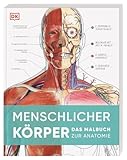 Menschlicher Körper: Das Malbuch zur Anatomie