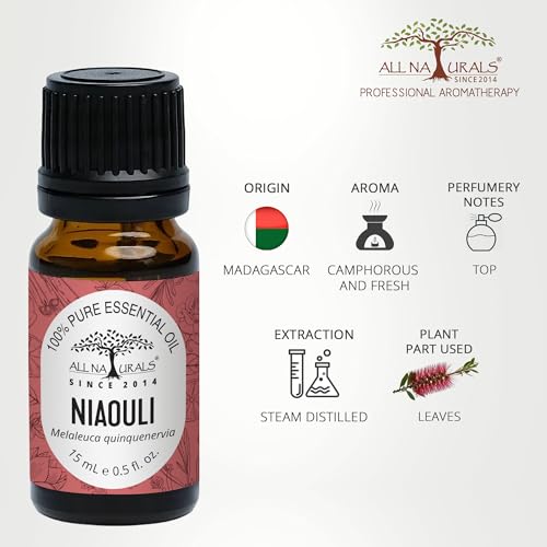 Image of All Naturals Niaouli Essential Oil 100% Pure for Congestion, Colds, Steam, Acne, Clear Breathing (More effective than Eucalyptus) - 15 mL