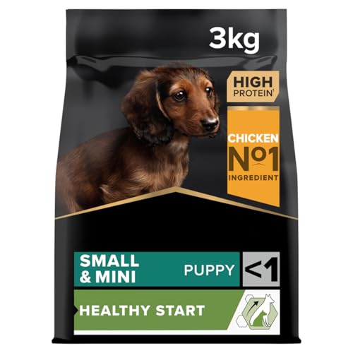 Best Mixer Gor Wet Dog Food