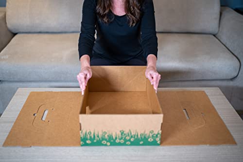 Disposable Ten Second Litter Boxes For Kitty/Cats (10 Count). Biodegradable Solution For Quick And Easy Disposal. Made Of Recyclable Material. (10-Pack) #TOP7