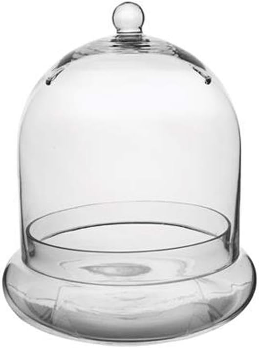 Round Terrarium Size: 11.38" H x 10" W x 10" D