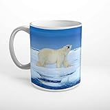 DesFoli Eisbär Arktis Meer Eisscholle Tier Tasse Spruch Motiv Fototasse Kaffeebecher T2104