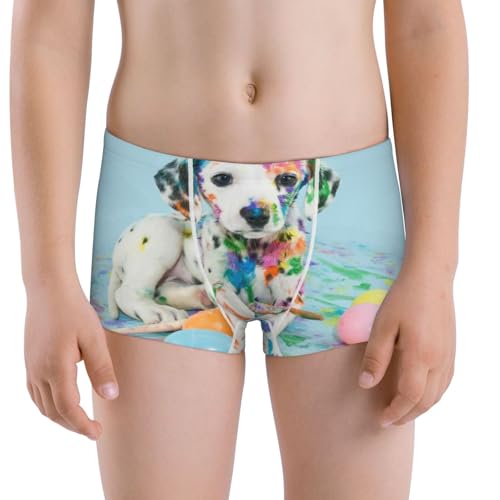 Boys' Cotton Boxer Brief Soft Underwear-A Funny Little Dalmatian Puppy