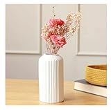 SPHINX Ribbed Pipe Ceramic Vase, Flower Vase, Pampas Grass Vase, Vase for Money Plant Live Plants, Vase Home Decor Centrepiece Decor for Home, Office, or Gifts VASE ONLY NO Flowers- (White, 6 Inch)