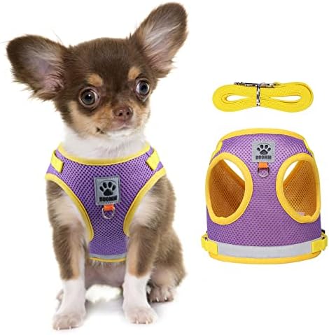 rennaio No Pull Dog Harness, Step in Puppy Cat Harness with 2 Leash Clips, Breathable Air Mesh Dog Harness and Leash Set for Outdoor Walking, Running and Training (Purple, M)