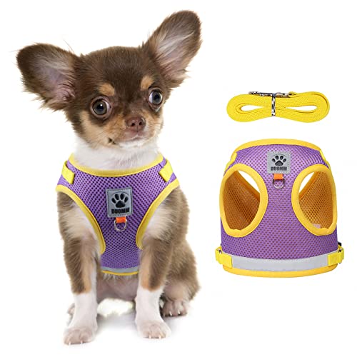 Rennaio No Pull Dog Harness, Step In Puppy Cat Harness With 2 Leash Clips, Breathable Air Mesh Dog Harness And Leash Set For Outdoor Walking, Running And Training (Purple, M) #TOP15