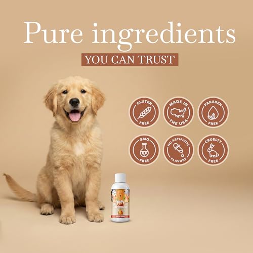 Image of Punkin Butt for Pets Puppy Teething Oil to Stop Chewing and Relieve Discomfort | All Natural, Organic, Safe for Dogs, Chemical-Free (1 oz)